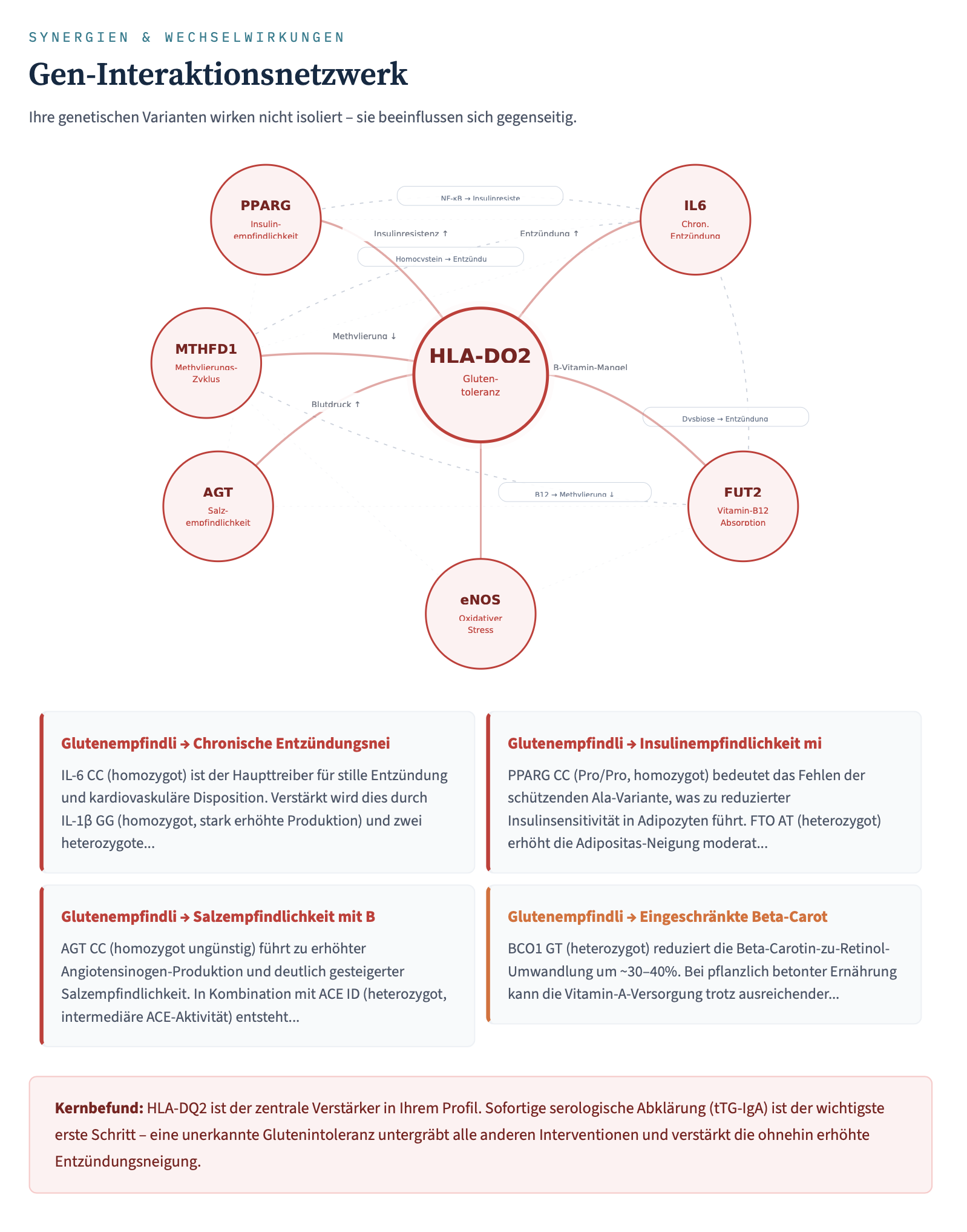 Gen-Interaktionsnetzwerk: Synergien zwischen Genen